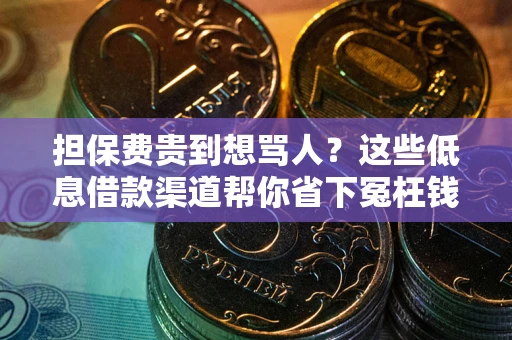 北京担保费贵到想骂人？这些低息借款渠道帮你省下冤枉钱