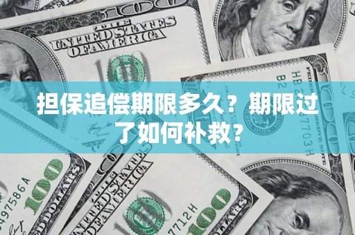 北京担保追偿期限多久？期限过了如何补救？